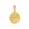 Imagem de Pingente medalha pet - 0205295